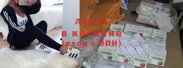 ГАЛЛЮЦИНОГЕННЫЕ ГРИБЫ Бородино