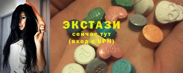 мдпв Богородск