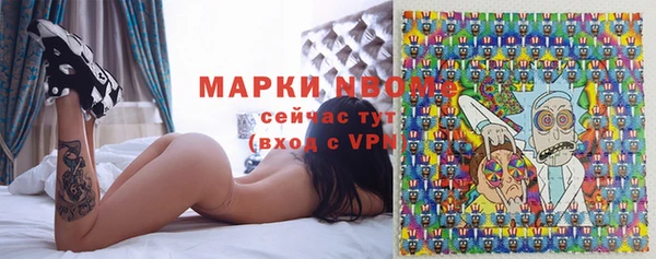 ГАЛЛЮЦИНОГЕННЫЕ ГРИБЫ Бородино