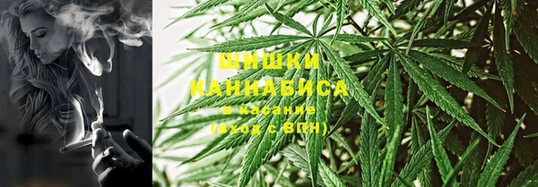 ГАЛЛЮЦИНОГЕННЫЕ ГРИБЫ Бородино