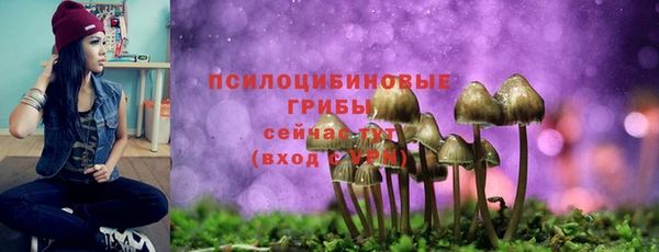 мдпв Богородск