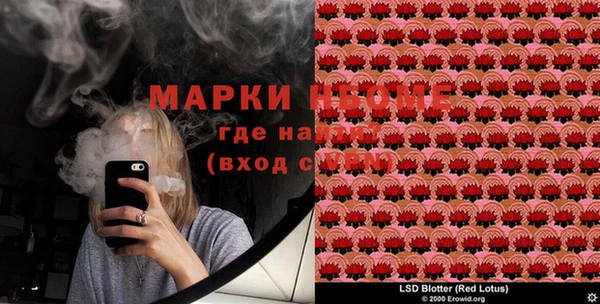 ГАЛЛЮЦИНОГЕННЫЕ ГРИБЫ Бородино