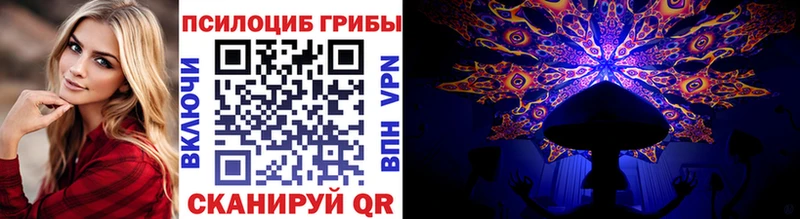 Псилоцибиновые грибы Psilocybe Гусиноозёрск