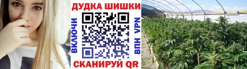 Канабис сатива  Гусиноозёрск 